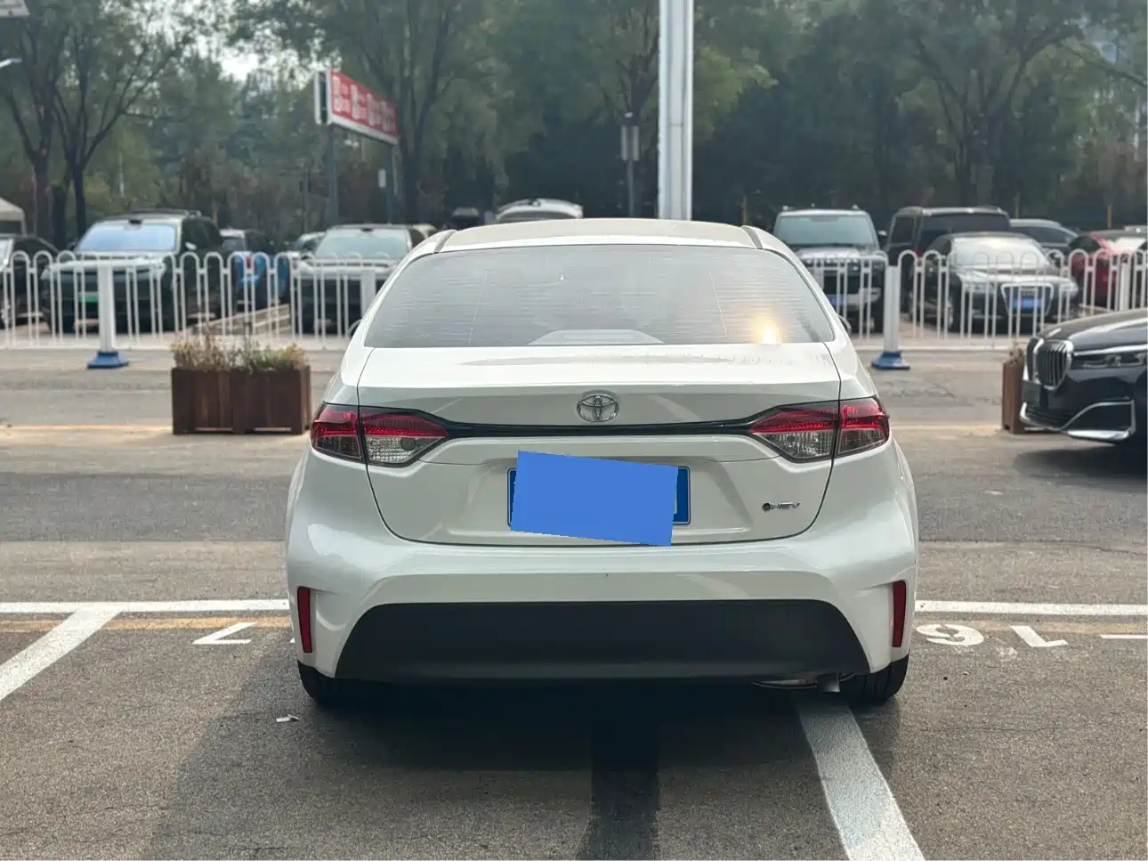 2025 Toyota Levin