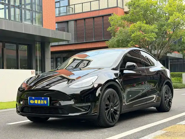 Tesla Model Y Увеличенный запас хода, полный привод, 3D7