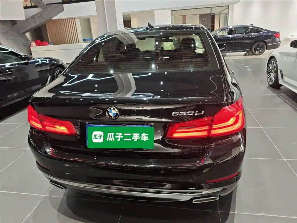 BMW 5 Series 2020 530Li Premium Luxury Package фото 6