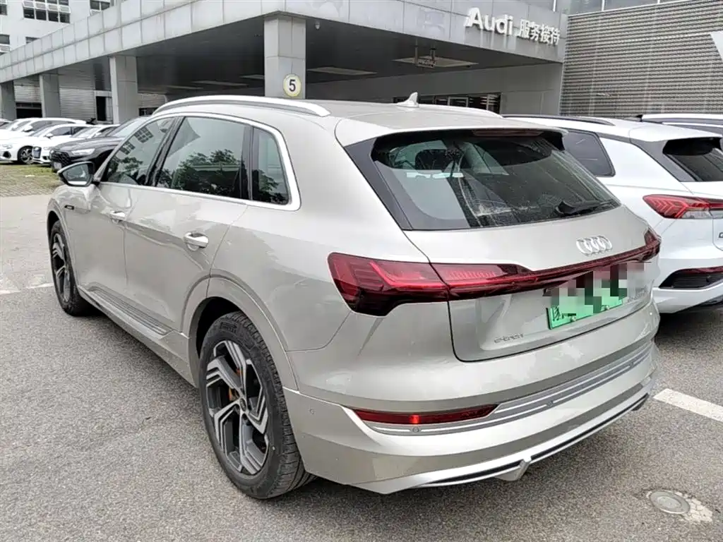 Audi e-tron 2021 50 quattro Exclusive Selection фото 9