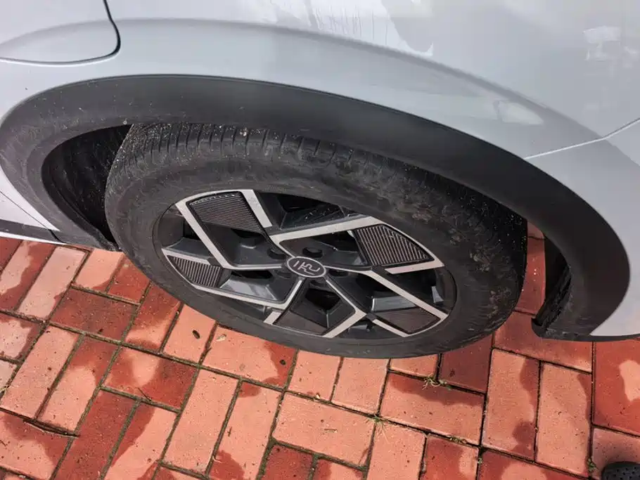 BYD Yuan PLUS 2022 2022 510KM Flagship PLUS
