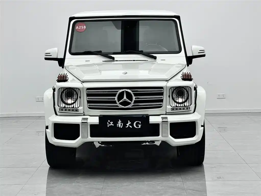 Mercedes-Benz G-Class AMG 2009 AMG G 55 фото 2