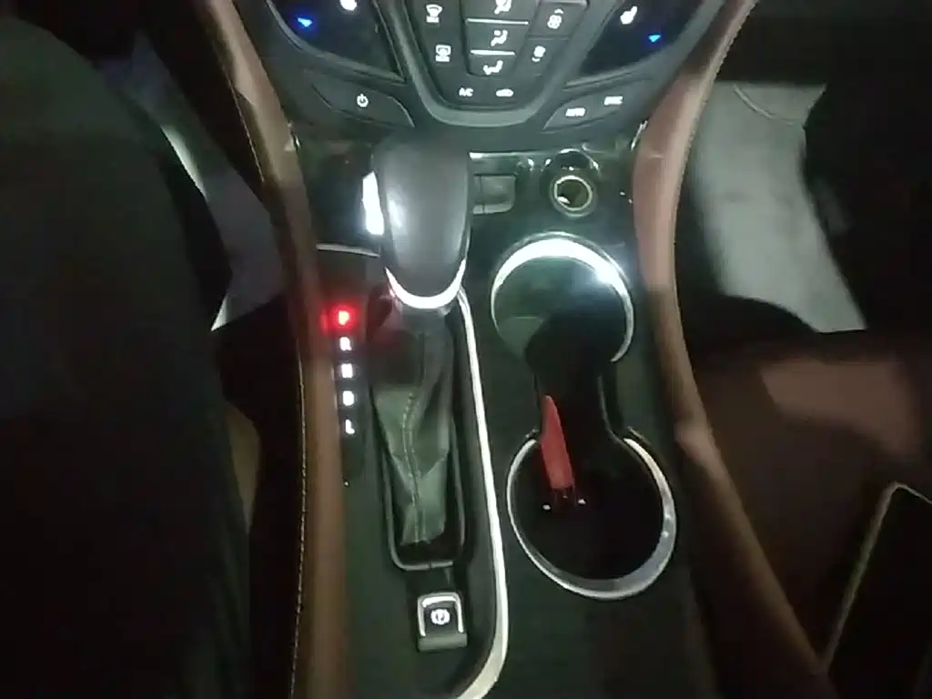 Buick Envision Plus 2018 20T 2WD Luxury фото 14