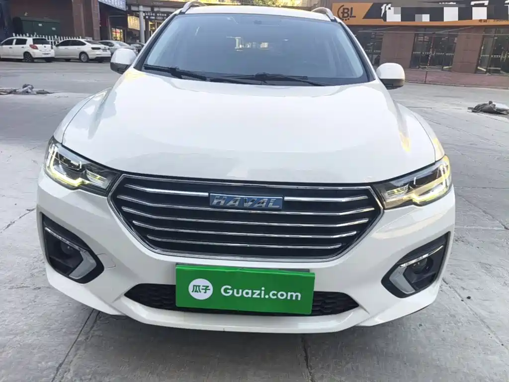 صورة 3 - Haval H2s