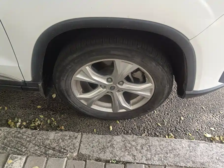 Bisu Auto Bisu T5 2017 2017 1.5T Manual Comfort