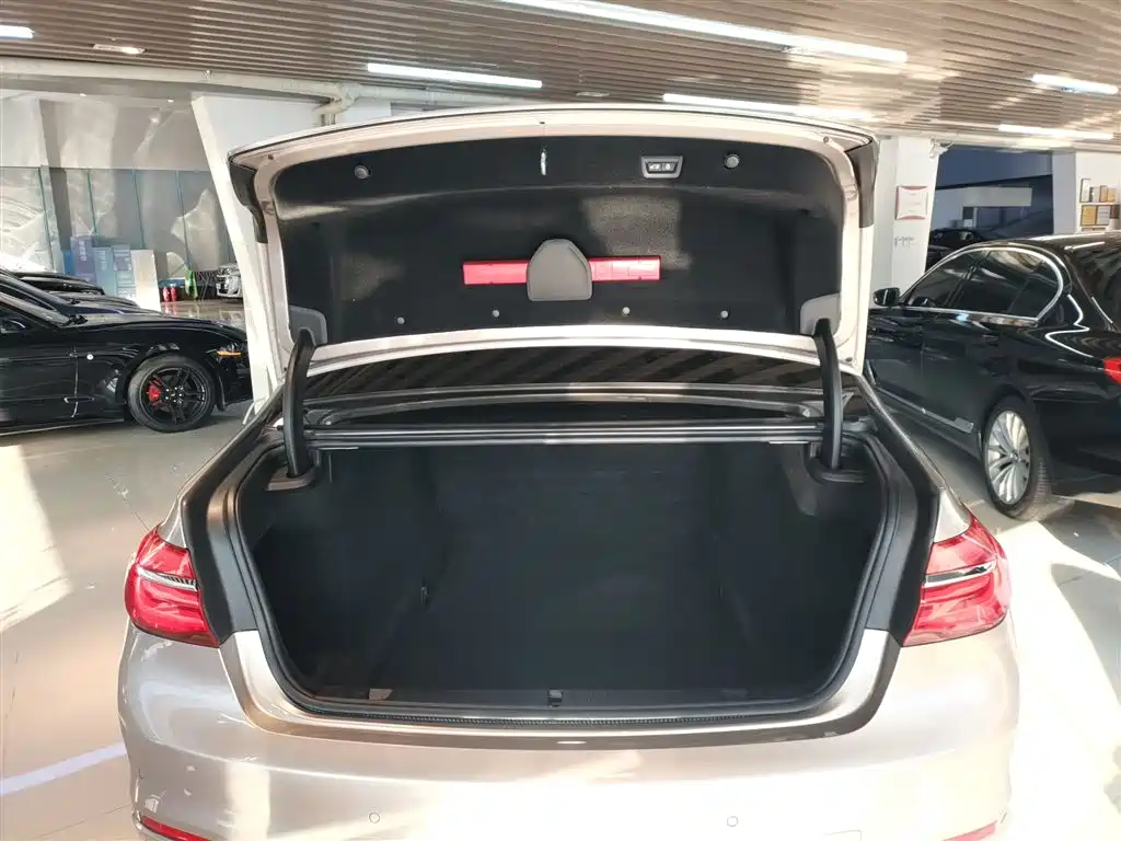 BMW 7 Series 2018 730Li Leading Type Excellence Package фото 15