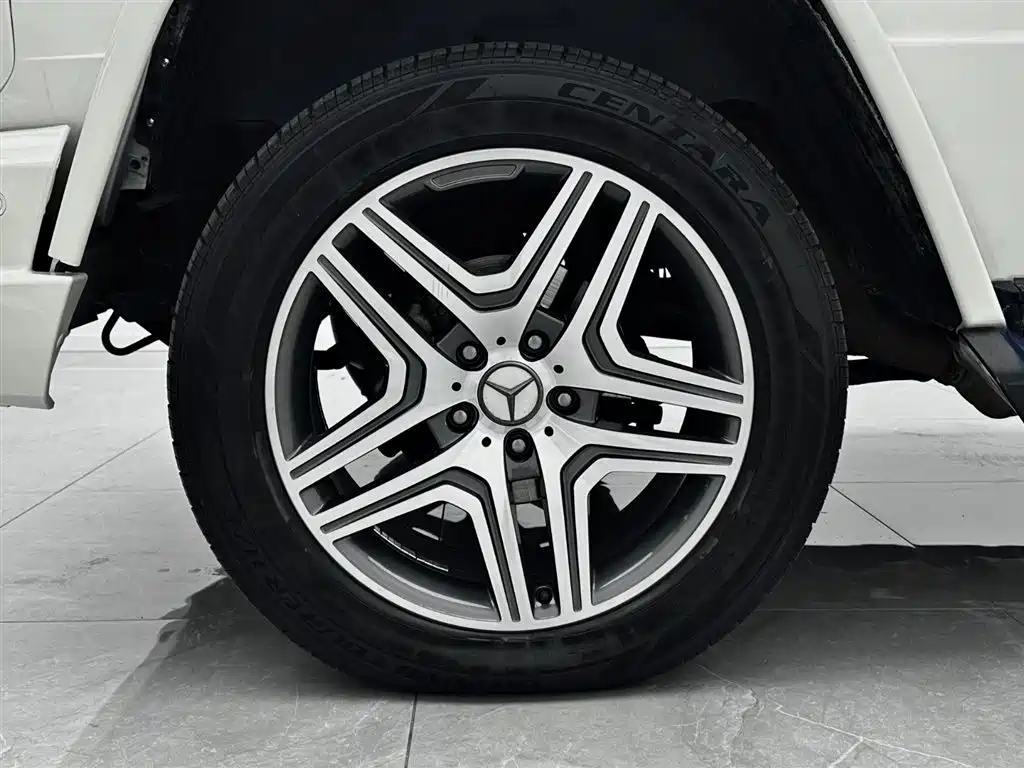 Mercedes-Benz G-Class AMG 2009 AMG G 55 фото 8