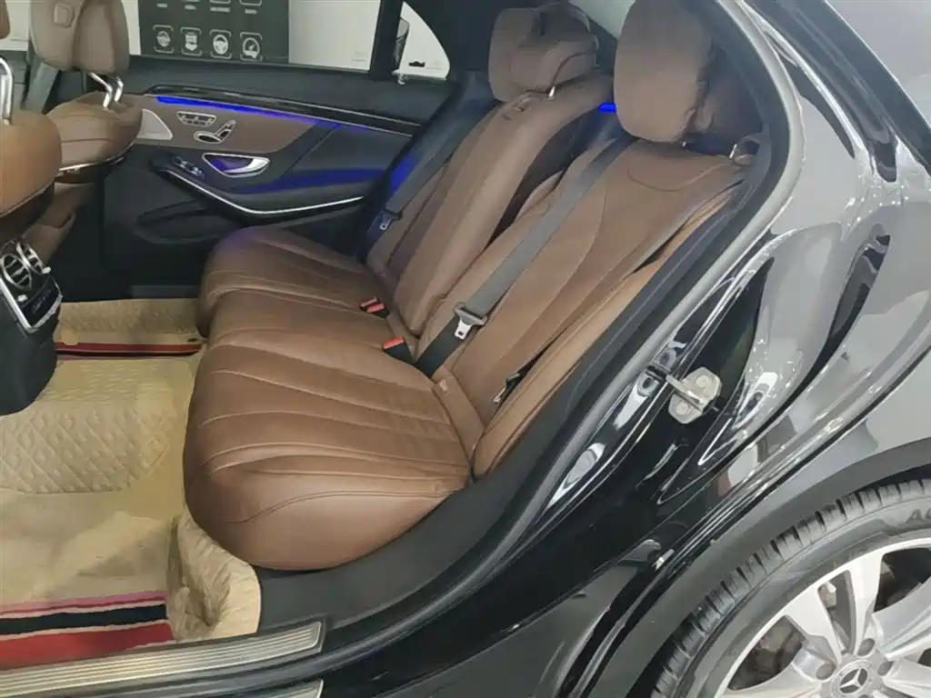 Mercedes-Benz S-Class 2020 S 350 L Premium Edition Collector's Version фото 17