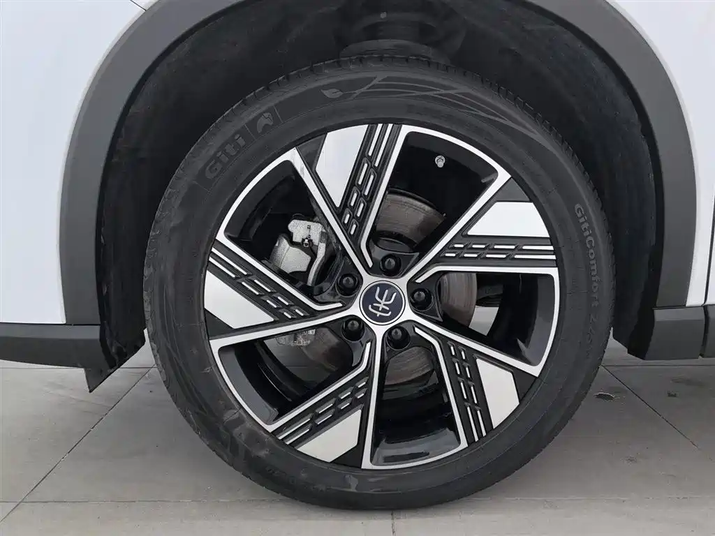 BYD Song Pro New Energy 2024 Glory Edition DM-i 110KM Excellence фото 17
