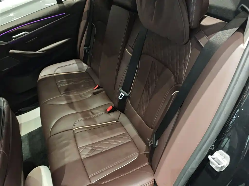BMW 5 Series 2020 530Li Premium Luxury Package фото 17