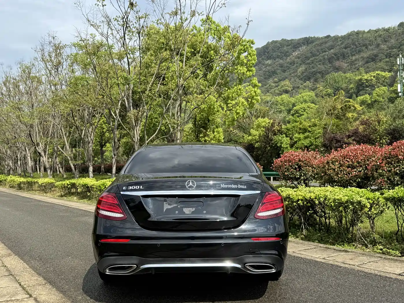 Mercedes-Benz E-Class 2020 Facelift E 300 L Exclusive фото 5