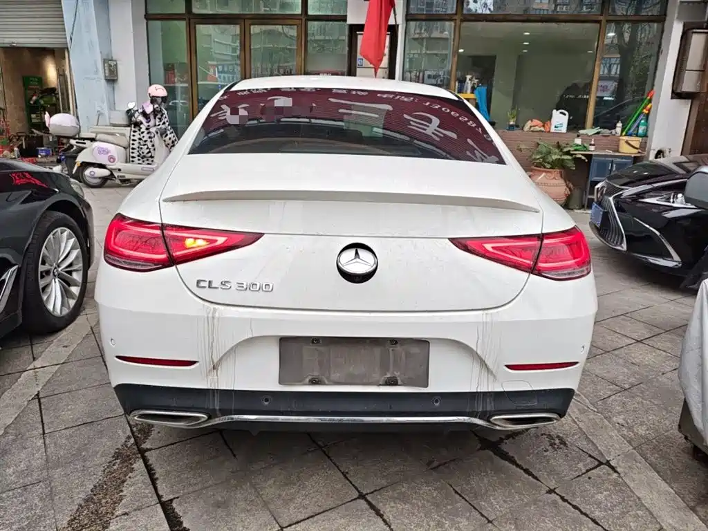 Mercedes-Benz CLS 2023 Model CLS 300 Luxury Version фото 22