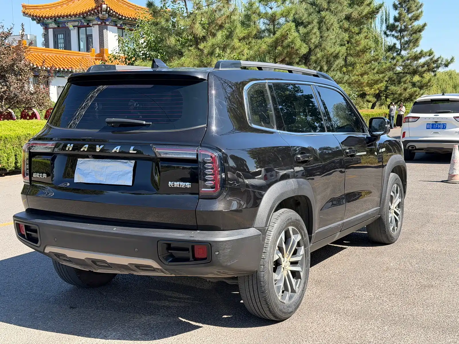 Фото 5 - Haval Dargo