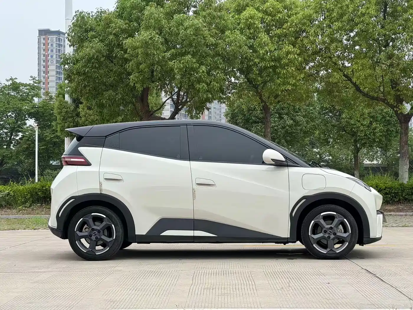 BYD Seagull 2024 Glory Edition 305km Freedom Edition фото 6