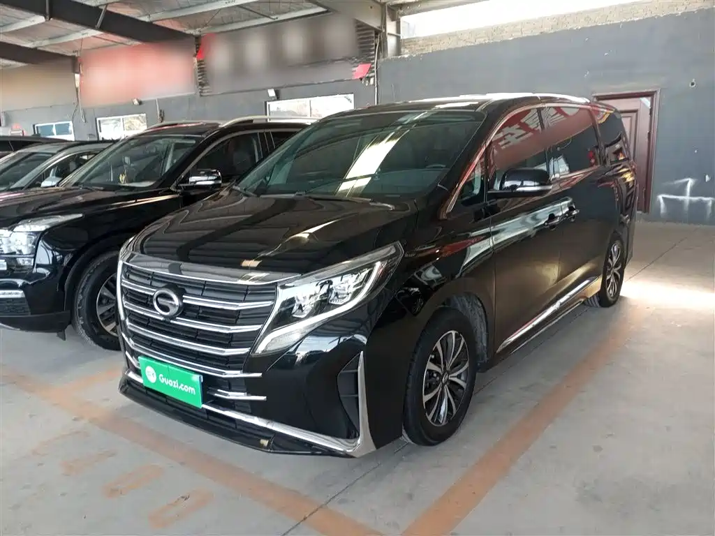 GAC Trumpchi Trumpchi M8 2023 Leading Series 390T Premium Edition фото 2