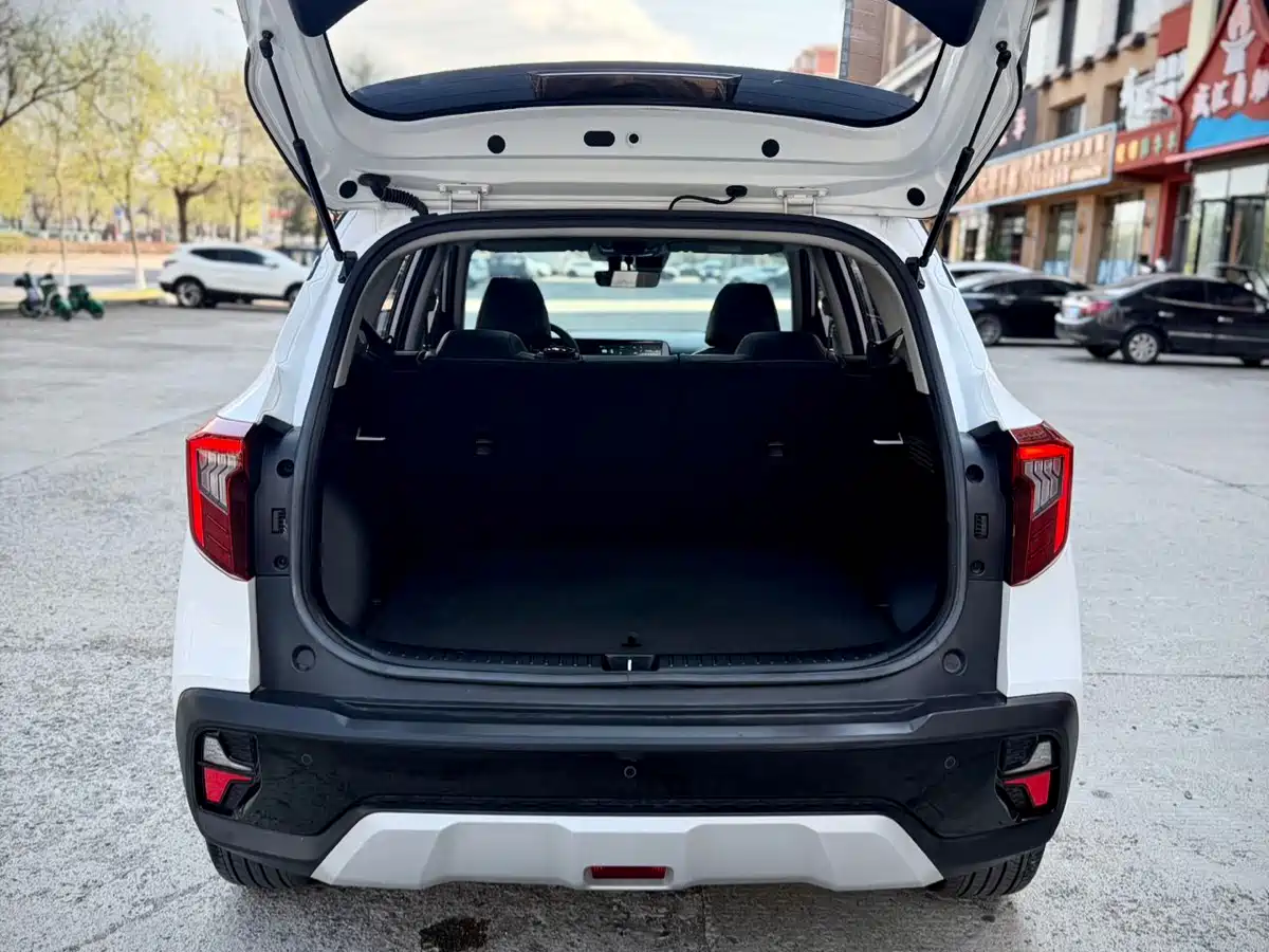 Kia Seltos 2023 1.5L CVT Luxury Edition фото 14