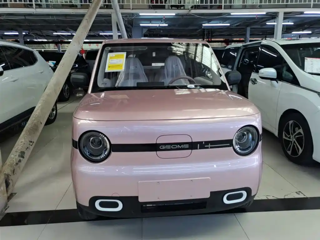 Geely Galaxy Panda 2025 Panda mini 210km Vitality Bear фото 3