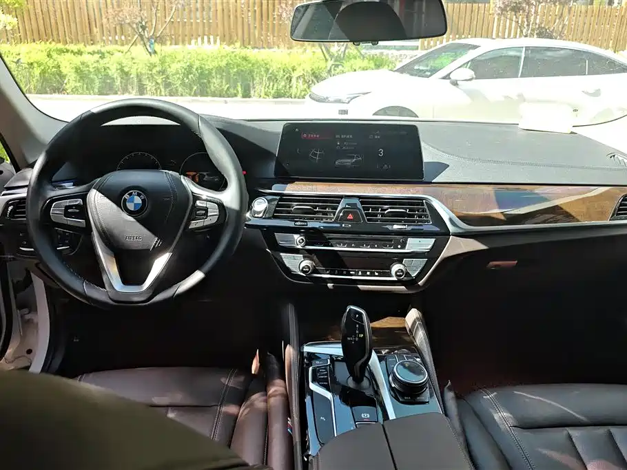 BMW 5 Series 2019 525Li Luxury Package фото 12