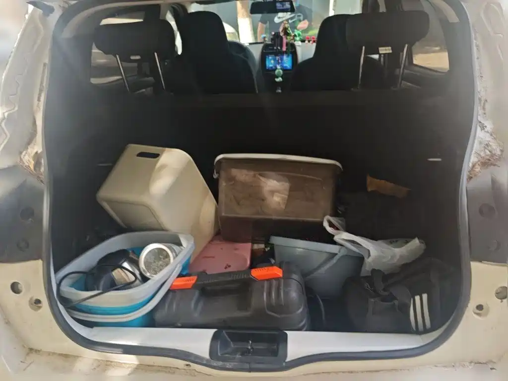 Dongfeng Yipai Dongfeng Nano EX1 2022 2021 Quality Action Edition