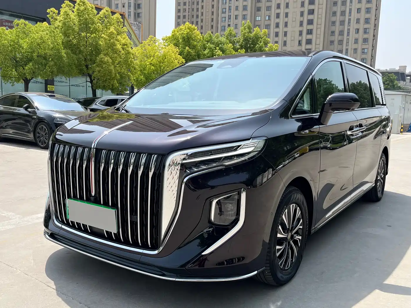 Hongqi HQ9 2024 Model 2.0T Luxury Edition фото 10