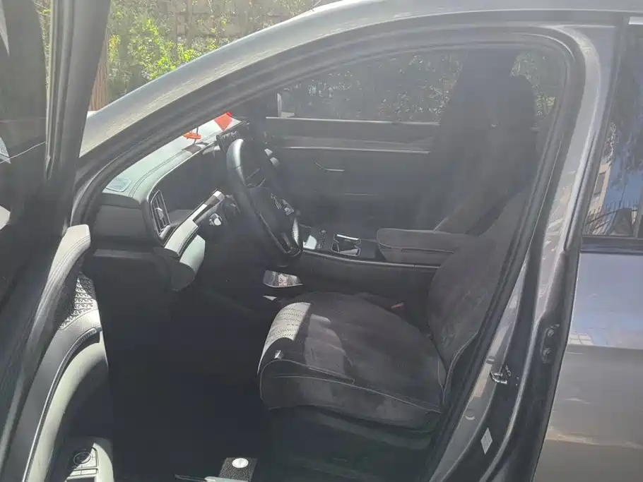 BYD Song Pro New Energy 2026