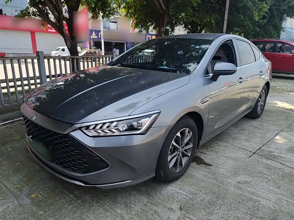 BYD Qin PLUS 2023 Champion Edition DM-i 55KM Leading