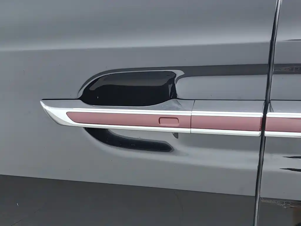 Hongqi HQ9 2024 2023 2.0T Smart Connect Flag Enjoy Edition