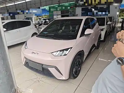 BYD Seagull