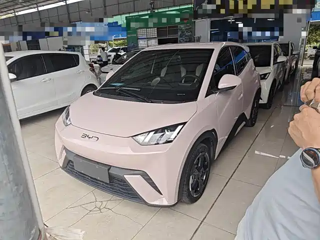 BYD Seagull Слава, 405km, Полёт