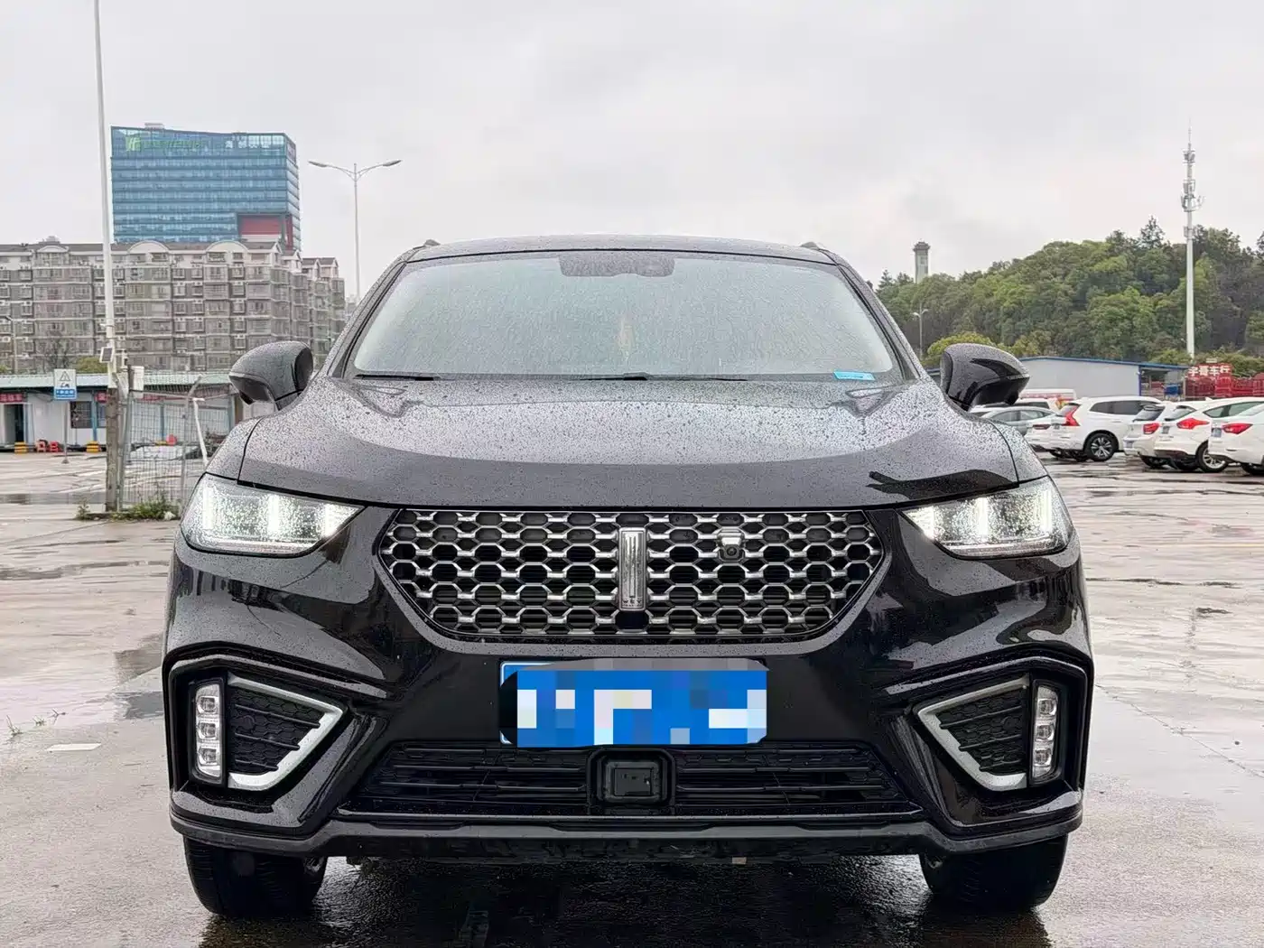 WEI PAI WEI BRAND VV5