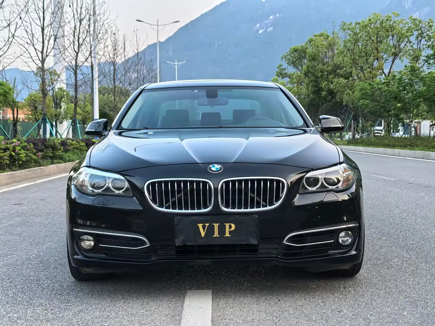 BMW 5 Series 2017 525Li Luxury Design Package фото 2