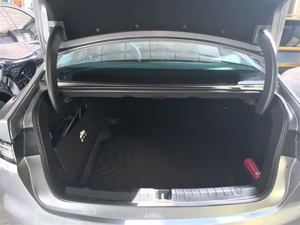 BYD Destroyer 05 2024 Glory Edition DM-i 55KM Luxury фото 15