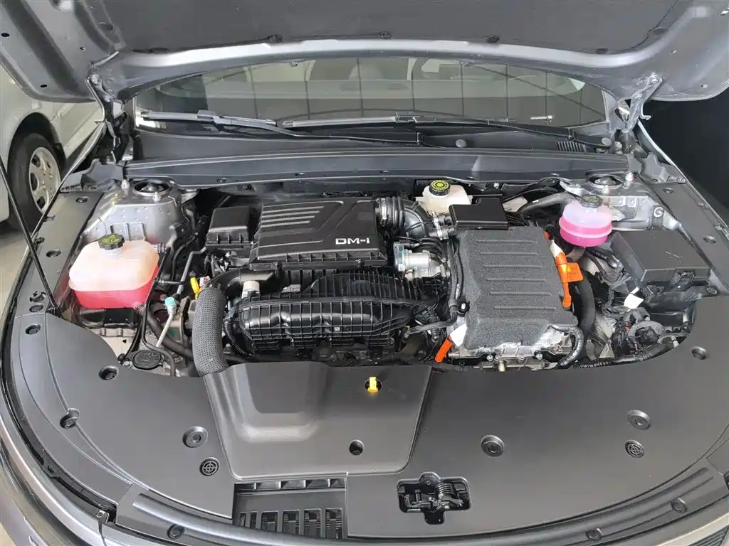 BYD Destroyer 05 2024 Glory Edition DM-i 55KM Luxury фото 16