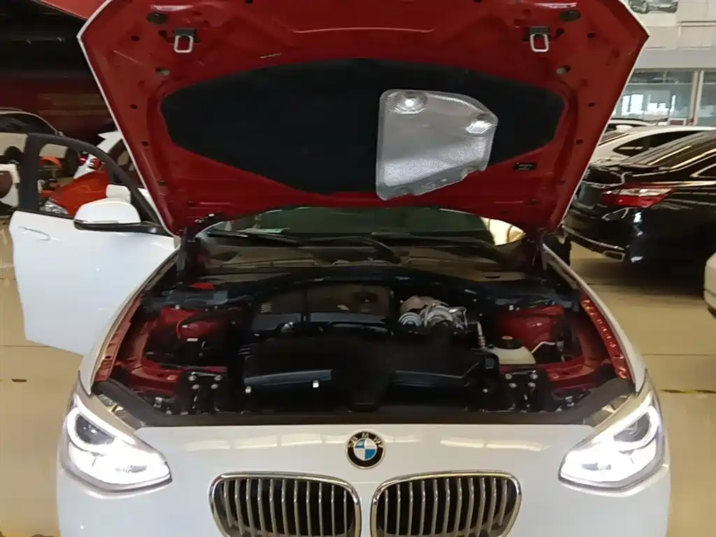 BMW 1 Series (Import) 2013 Facelift 116i Urban Model фото 20