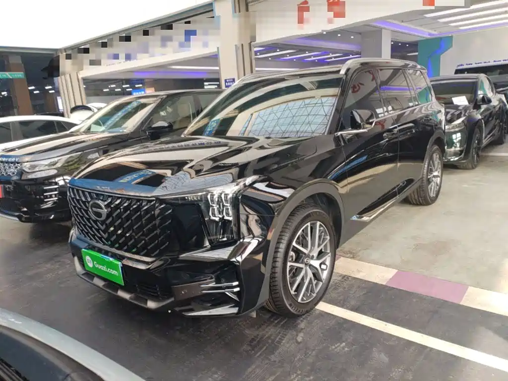 GAC Trumpchi Trumpchi GS8 2024 Navigator Series 2.0TGDI 2WD Luxury Smart Connect Edition фото 2