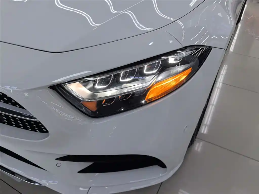 Mercedes-Benz CLS 2021 CLS 300 Luxury фото 24