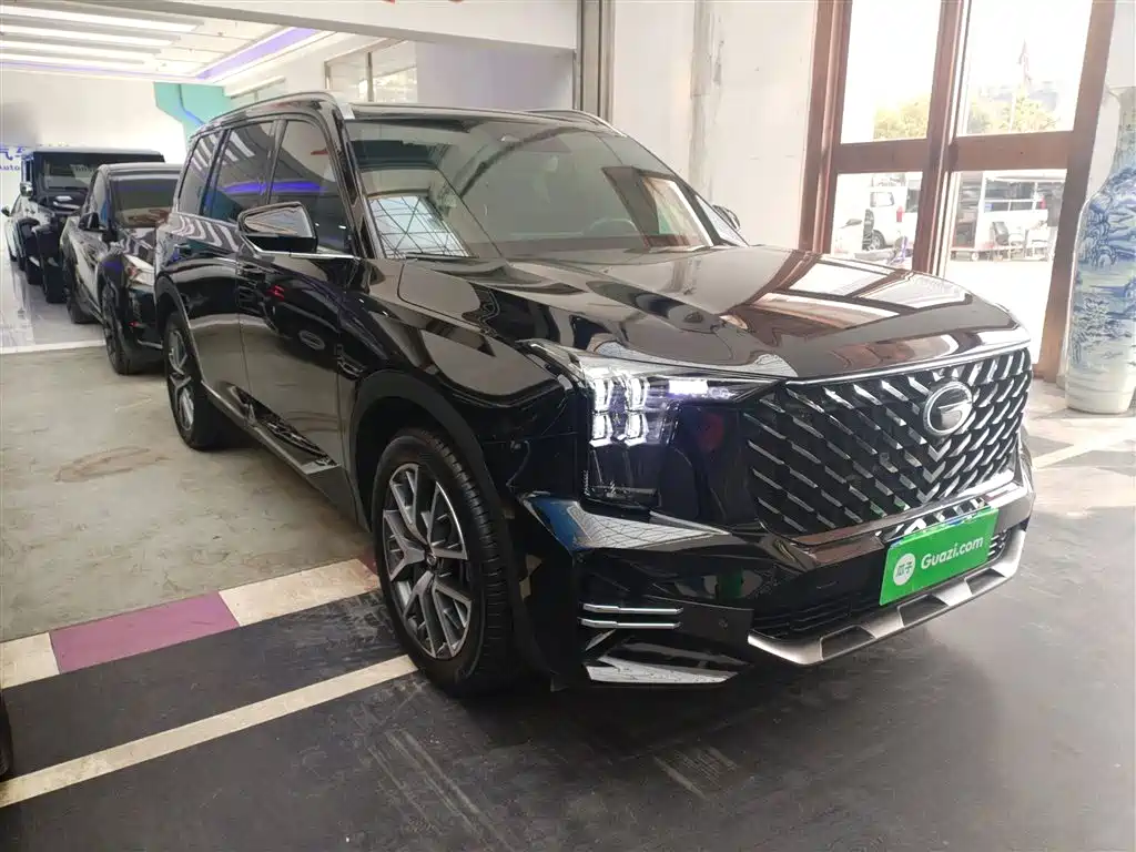 GAC Trumpchi Trumpchi GS8 2024 Navigator Series 2.0TGDI 2WD Luxury Smart Connect Edition фото 20
