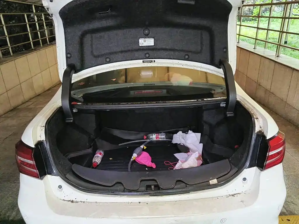 BYD Qin New Energy 2018 2017 1.5T Premium Model