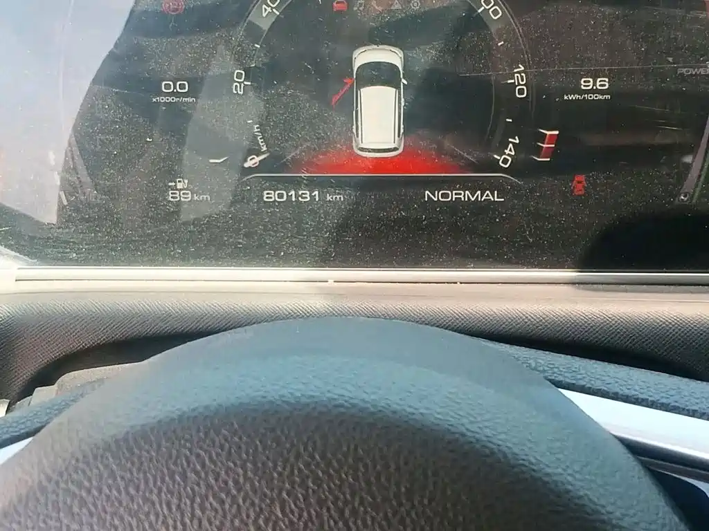 Ora White Cat 2020 2020 360km Standard Model