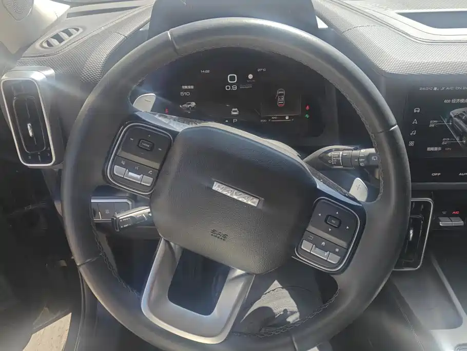 Haval Dargo 2025 2024 2.0T DCT Chinese Rural Dog Edition