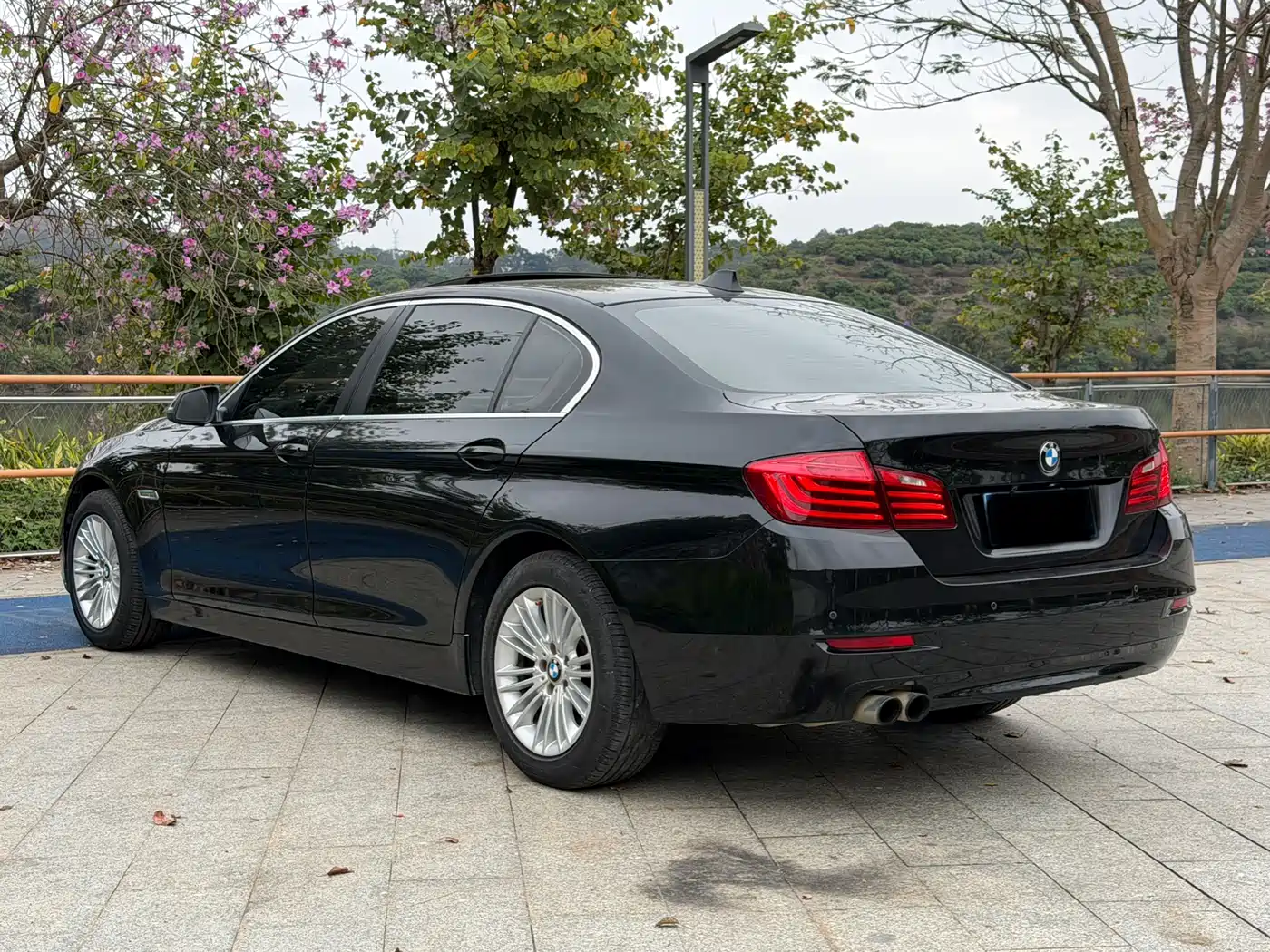 BMW 5 Series 2014 525Li Leading фото 7