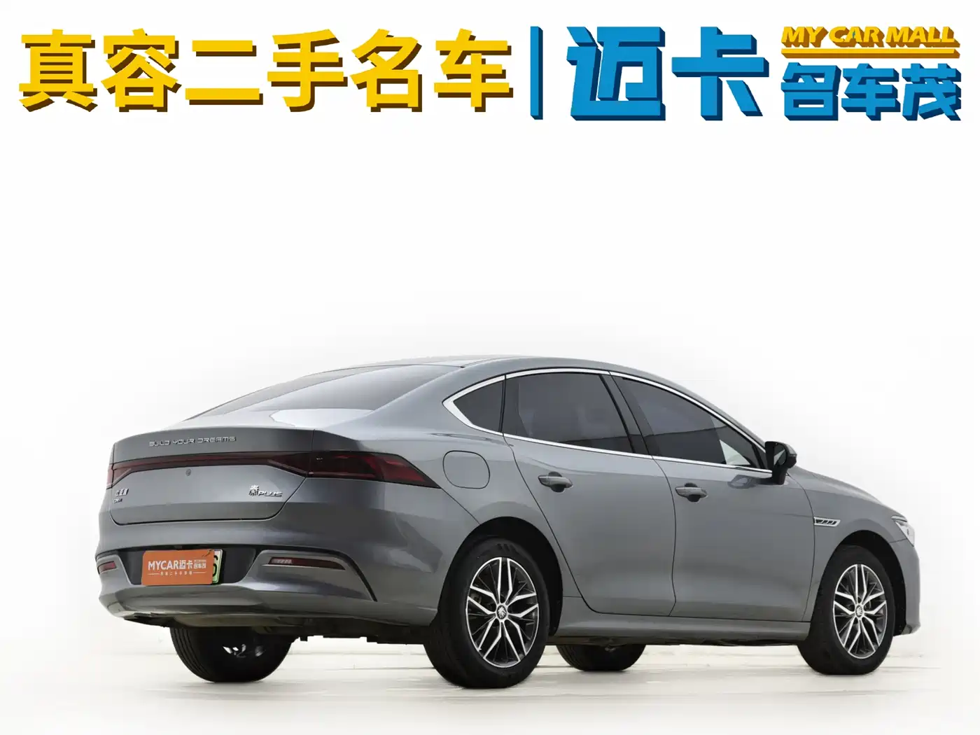 BYD Qin PLUS 2023 Champion Edition DM-i 120KM Excellence фото 12