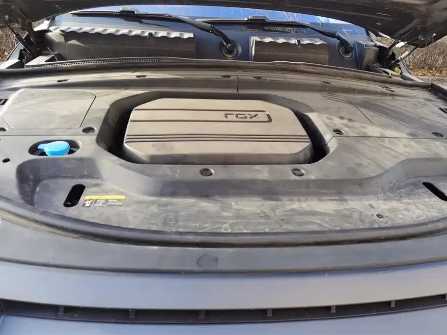 ROX POLAR STONE POLAR STONE 01