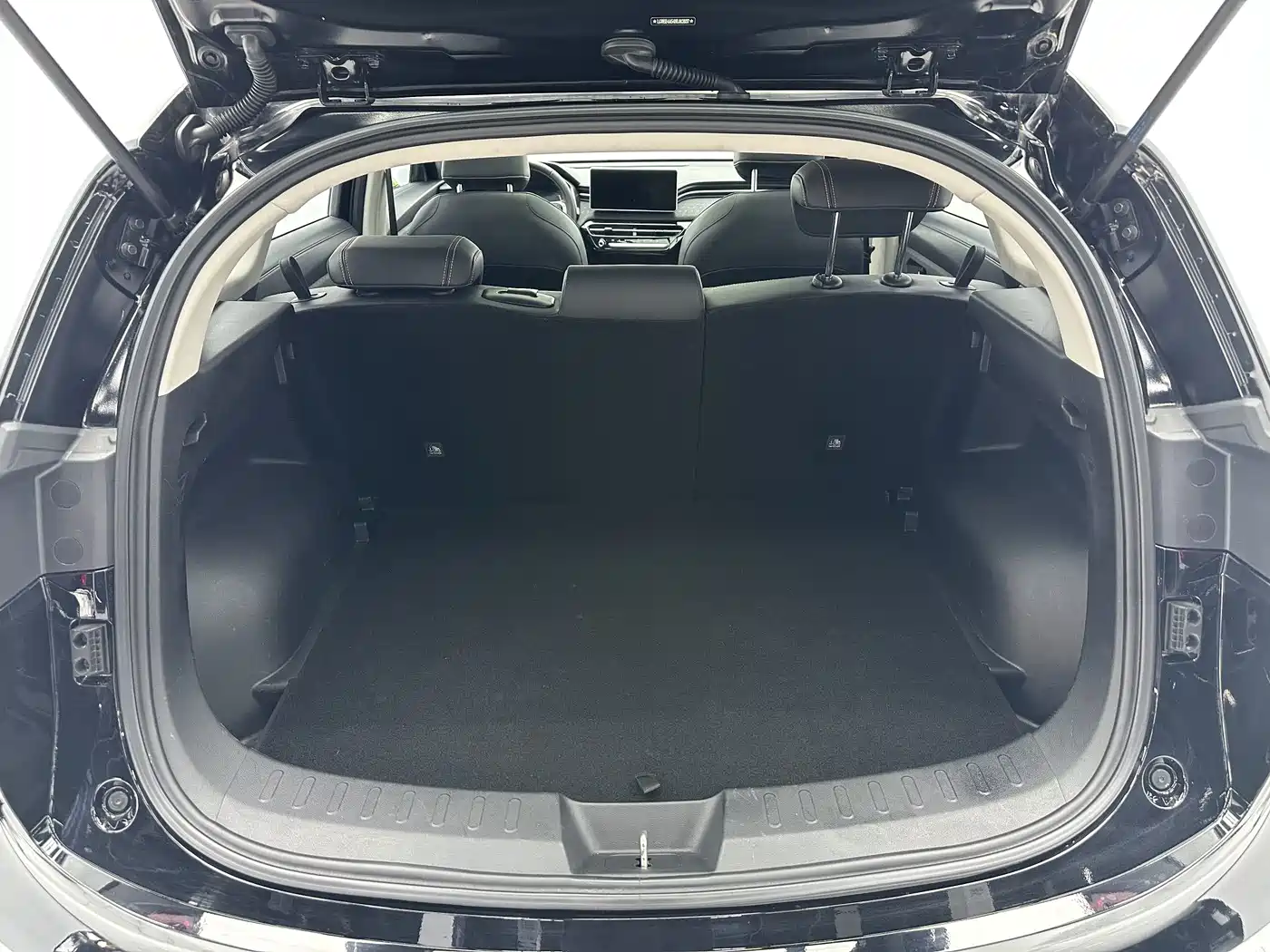 Haval Chitu 2022 2022 Power Edition 1.5T Purple Copper Rabbit