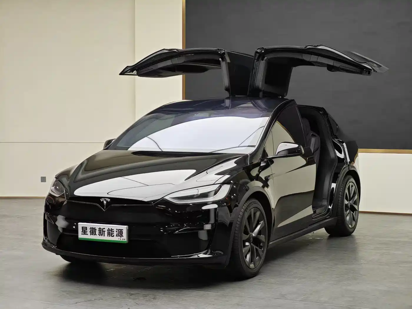Tesla Model X 2023 Dual Motor All-Wheel Drive Edition