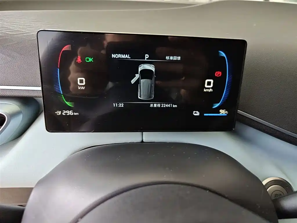 BYD Seagull 2024 Glory Edition 305km Vitality Edition фото 12