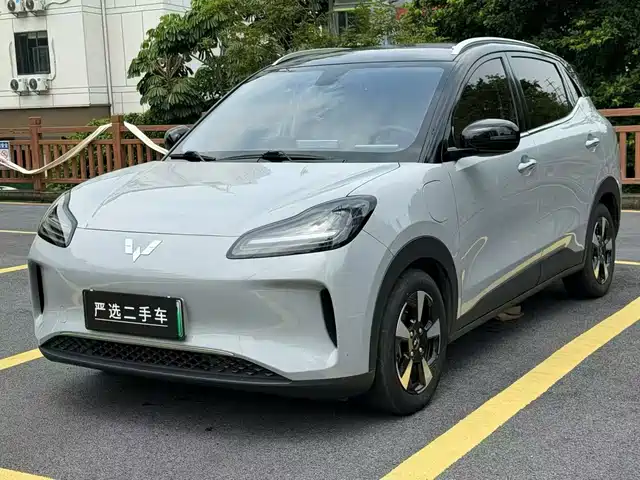 Wuling Motors Wuling Binguo PLUS 2024