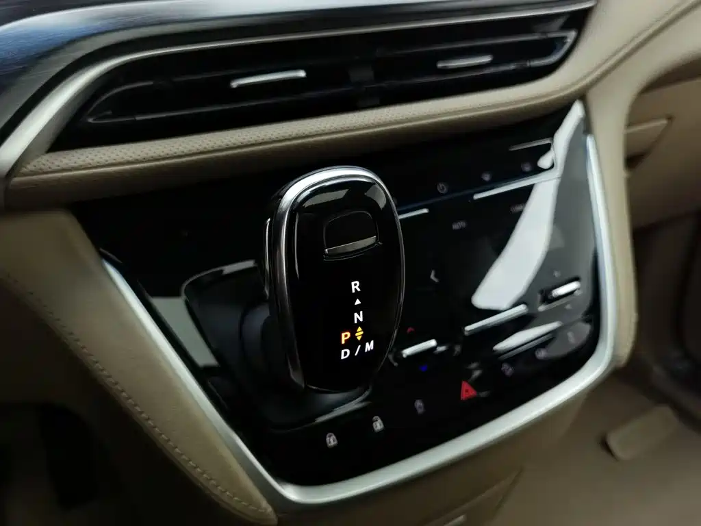 Buick GL8, миниатюра 13