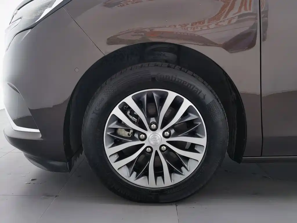 Buick GL8, миниатюра 17