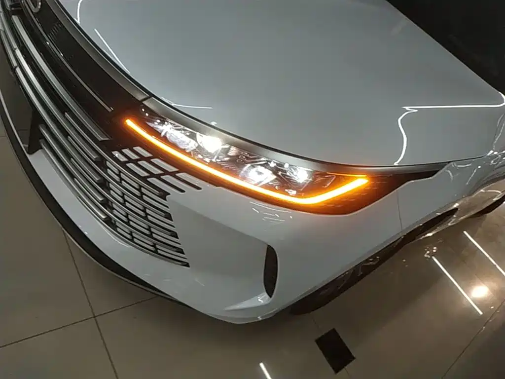 BYD Destroyer 05 2024 Glory Edition DM-i 55KM Luxury фото 24